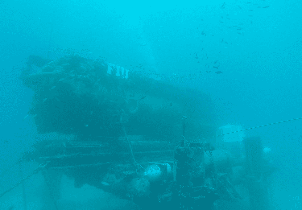 Inside the World's Only Undersea Lab The Takeaway WQXR