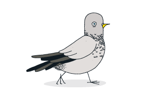 Why do pigeons bob their heads when they walk? (Alex Eben Meyer)