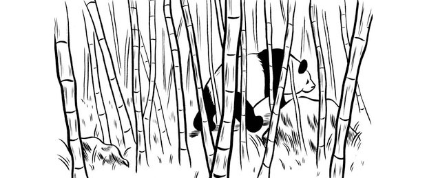 Panda in a bamboo forrest