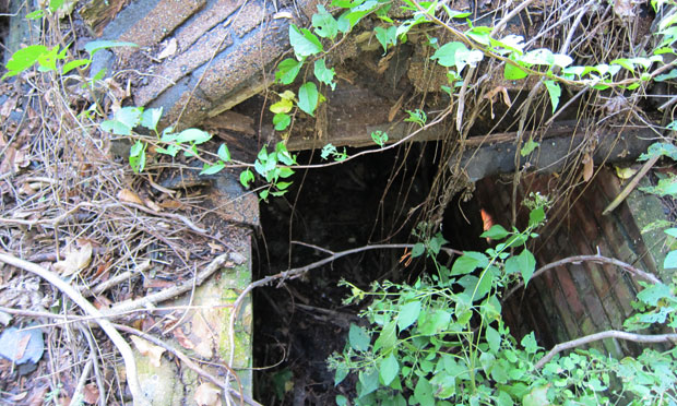 north brother island tour