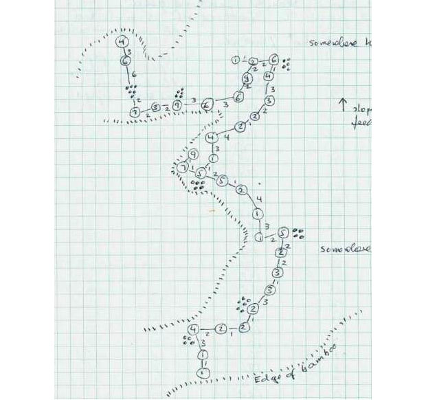 A map of a panda foraging on bamboo shoots.