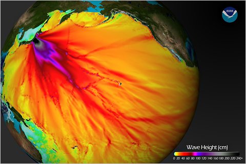 Projected wave height of the tsunami as it travels across the globe (via NOAA)