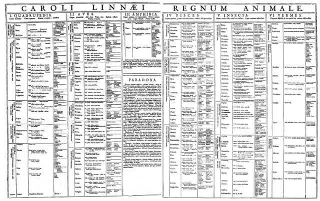 Table of the Animal Kingdom (Regnum Animale) from Carolus Linnaeus's first edition (1735) of ''Systema Naturae''.