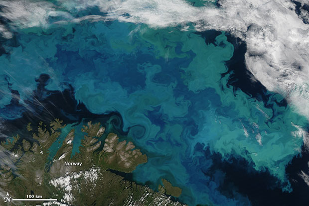  A massive bloom of phytoplankton in the Barents Sea, most likely containing coccolithophores.