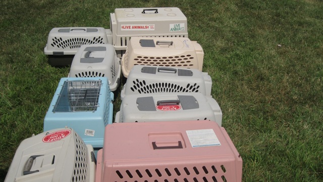 Animal crates
