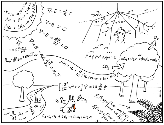 Bunny in a field of equations