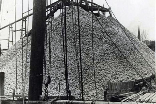 Oyster shells for oyster "farming"