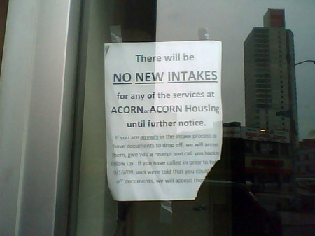 All new services at ACORN have been suspended until a law firm reviews the group’s management and services. 