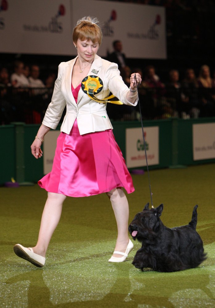 Crufts 2010 best sale